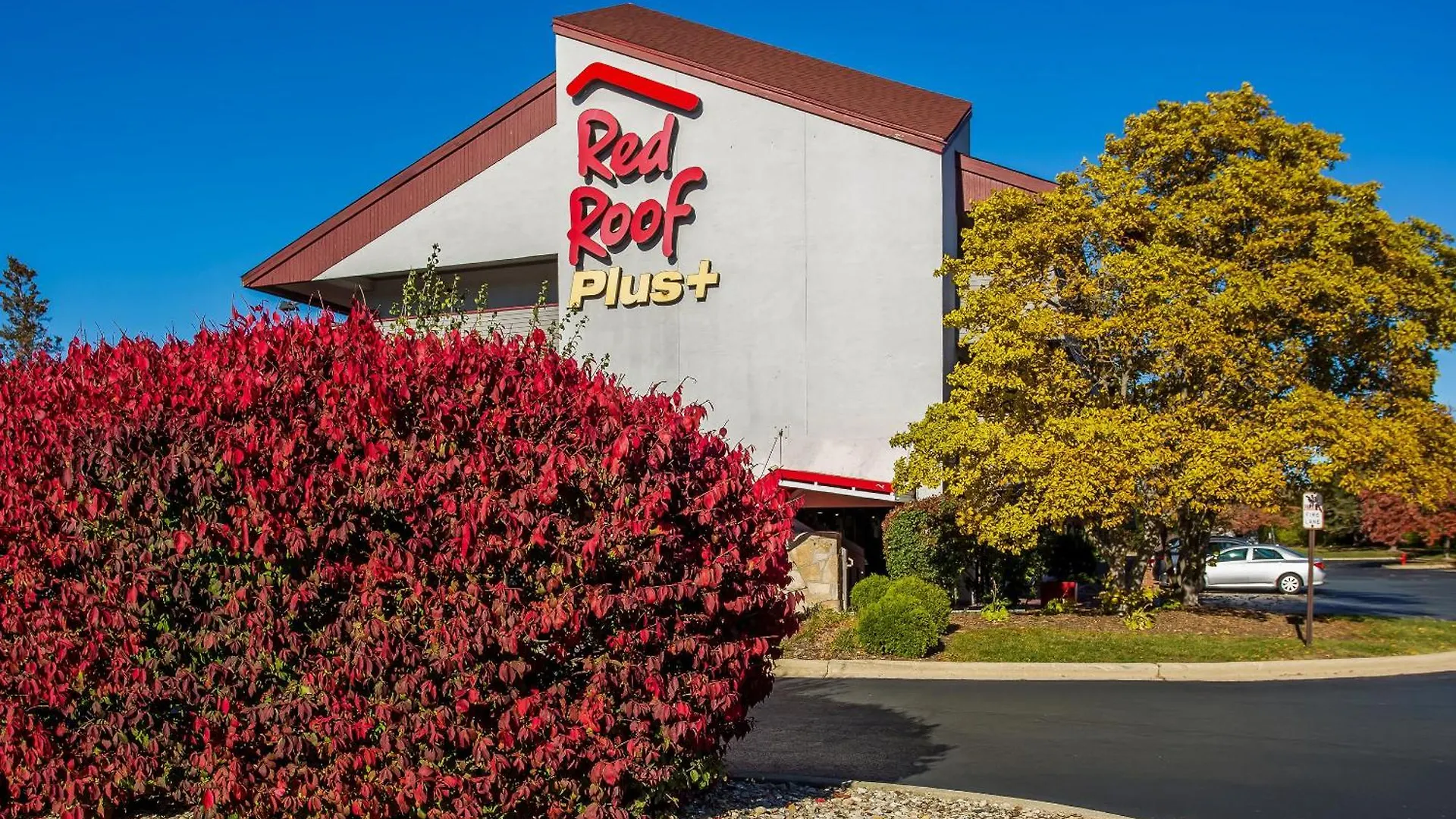 4 Budget Hotels Near Milk Pail Village for Easy Access