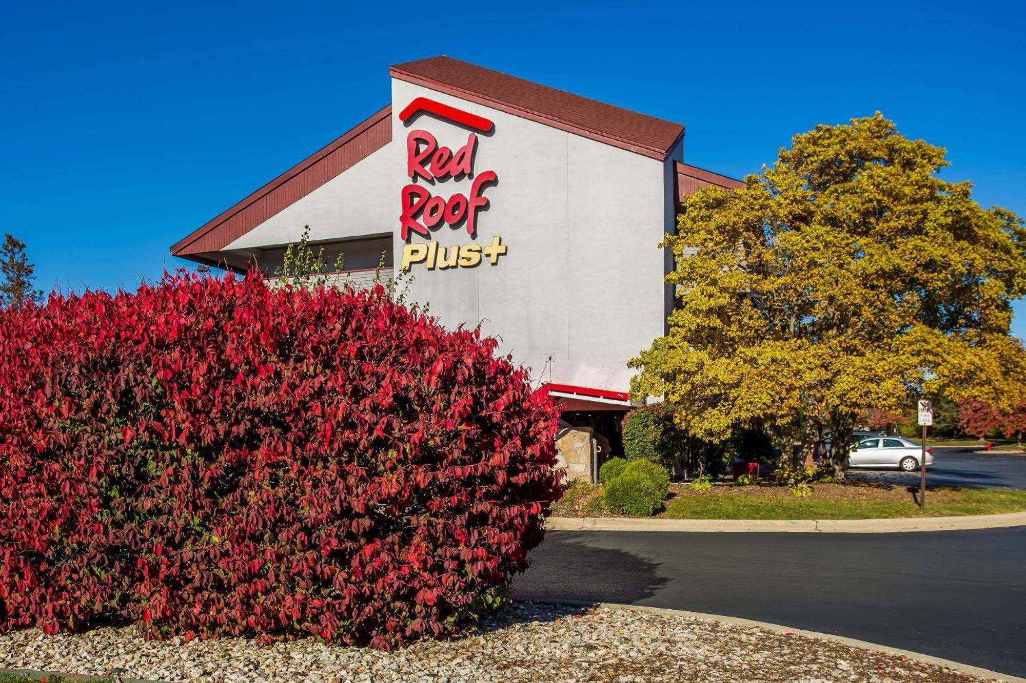 4 Budget Hotels Near Milk Pail Village for Easy Access